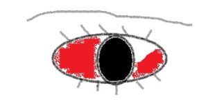 目のイラスト