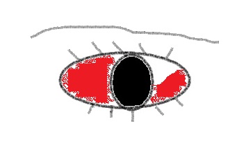 目のイラスト